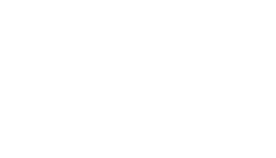 Klever partners